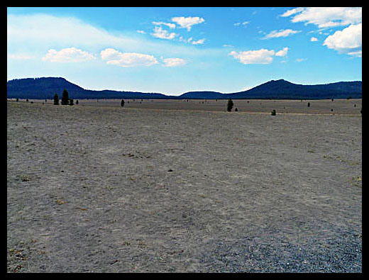 pumice desert